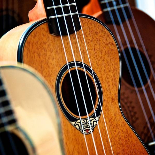 Quelle: Pixabay.com Drei Ukulelen