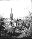Freiburger Münster