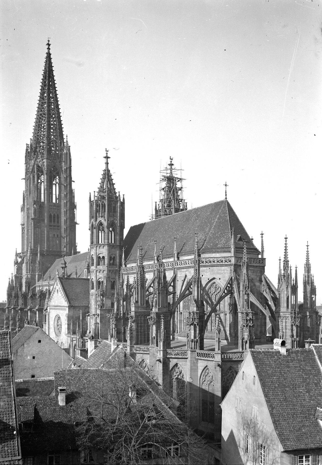Historische Ansicht des Freiburger Münsters mit umliegenden Dächern
