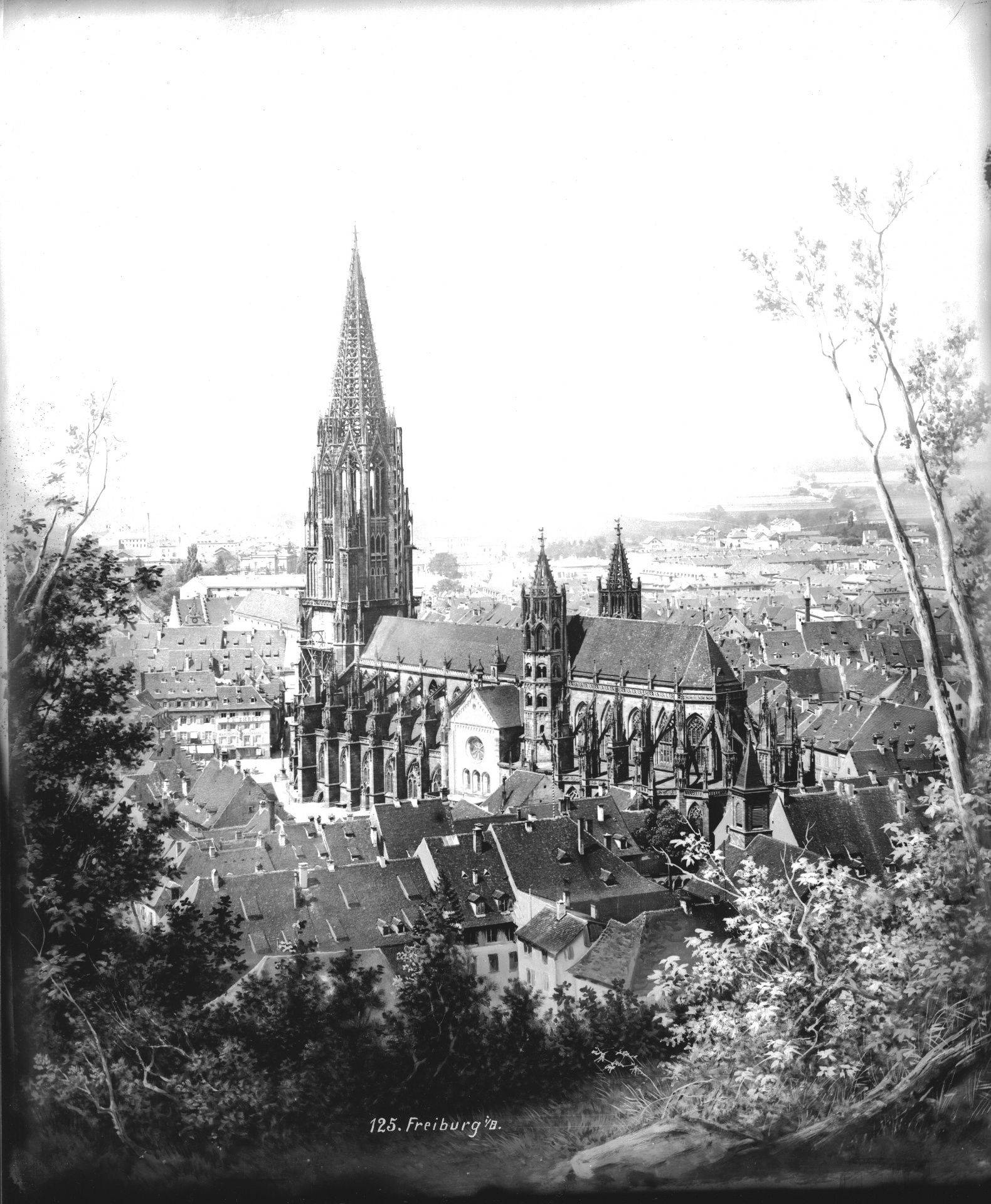 Historische Ansicht des Freiburger Münsters zwischen Bäumen