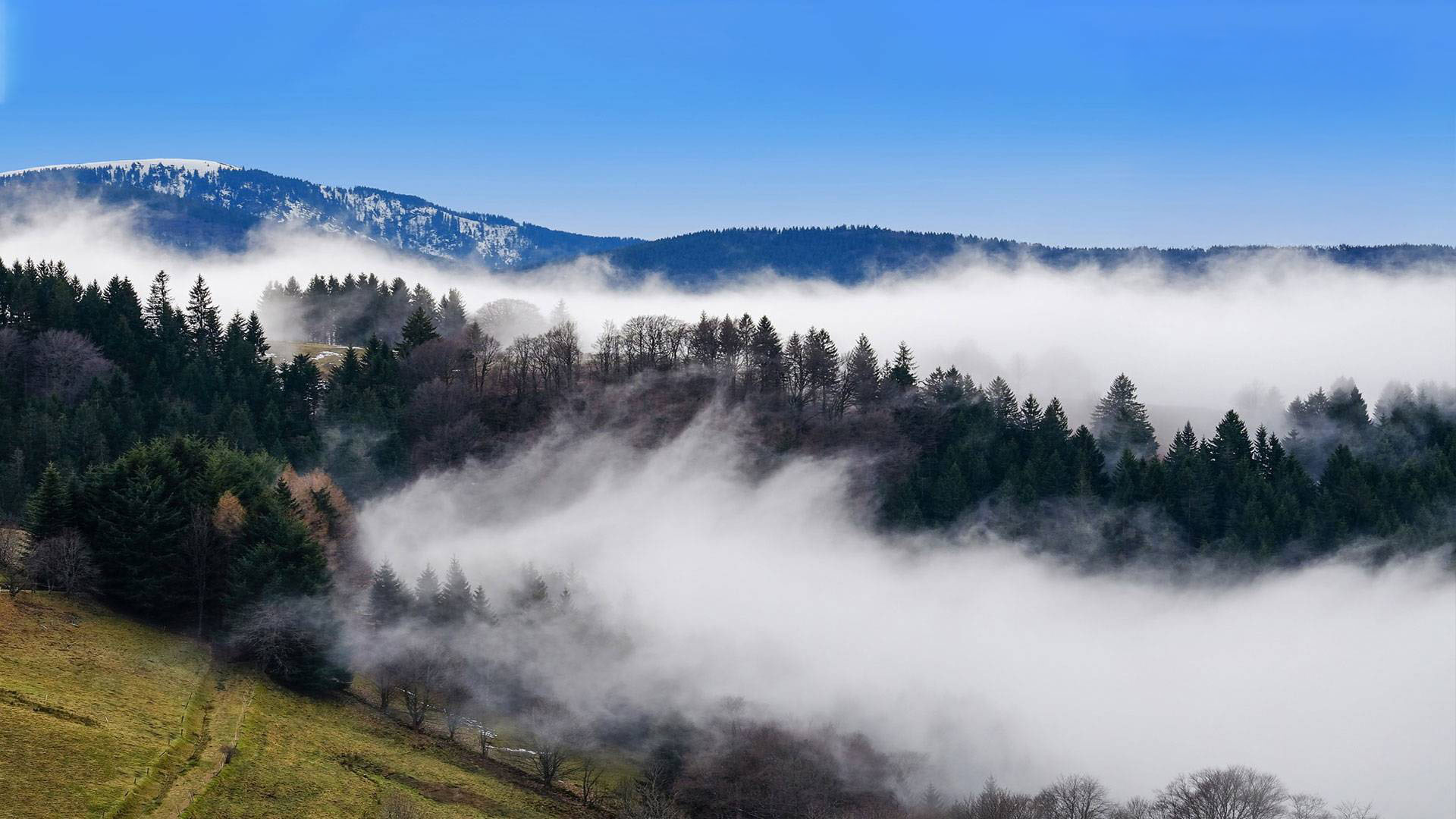 Quelle: Erzdiözese Freiburg