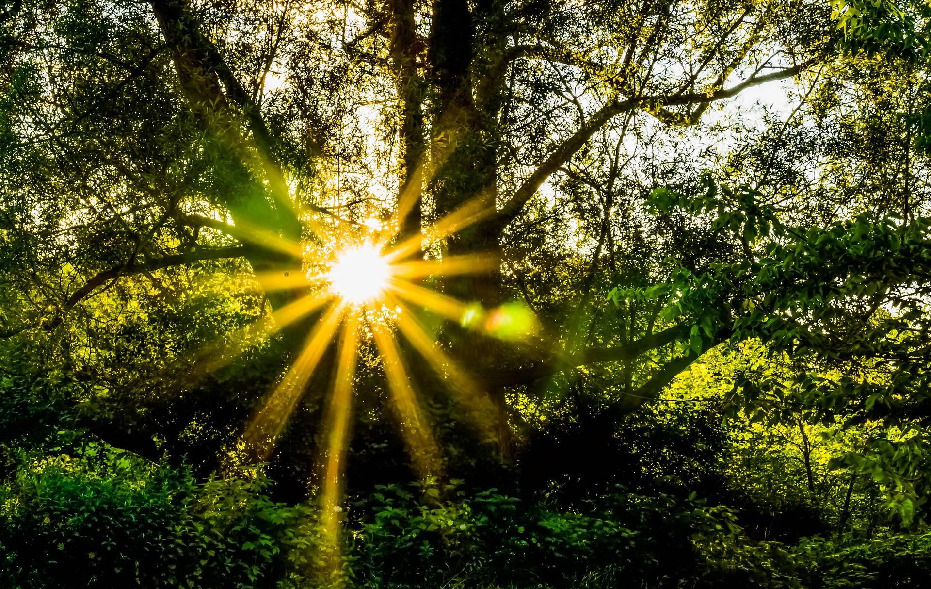 Quelle: pixabay.de