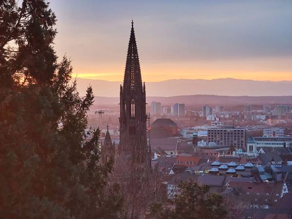 Blick über Freiburg